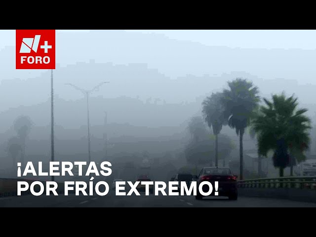 ⁣Activan alertas tras temperaturas congelantes en Coahuila, Veracruz y Chihuahua - Sábados de N+ FORO