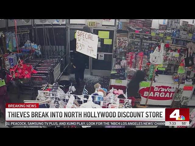 ⁣Thieves break into North Hollywood discount store