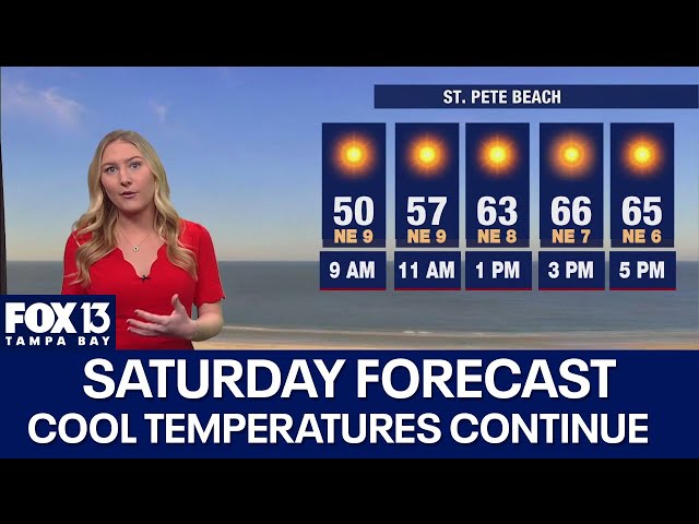 ⁣Tampa weather | Cool temperatures continue