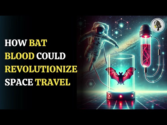 ⁣Bats' Blood May Unlock The Future Of Space Travel? | WION Podcast