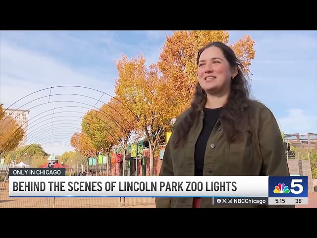 ⁣A look behind the scenes of the Lincoln Park Zoo Lights