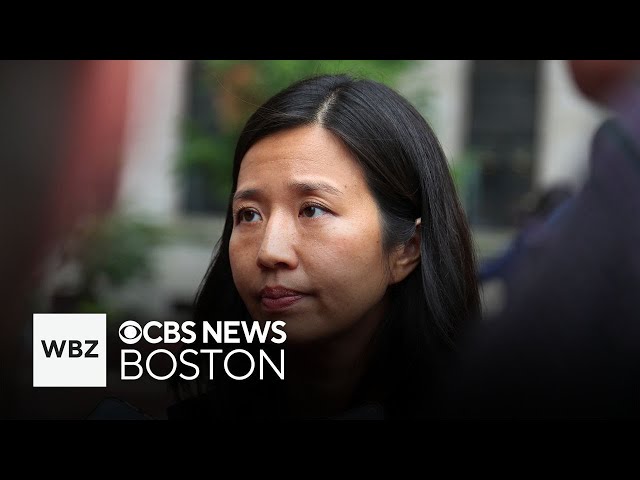 ⁣Boston Mayor Wu says Councilor Fernandes Anderson should step aside after arrest for corruption