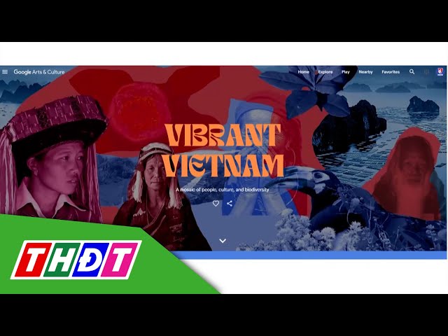 ⁣Youtube mời nhà sáng tạo quốc tế quảng bá du lịch Việt | THDT