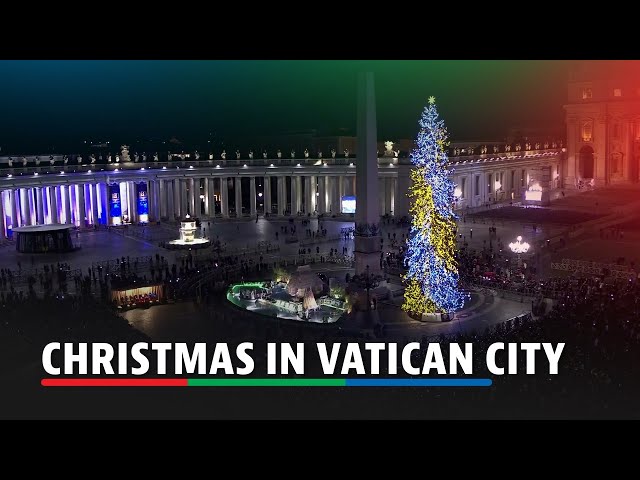 ⁣WATCH: Vatican lights Christmas tree, unveils nativity scene in St Peter's Square