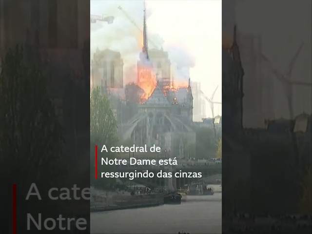 ⁣Notre Dame reformada: como ficou a catedral parisiense 5 anos após incêndio #bbcnewsbrasil