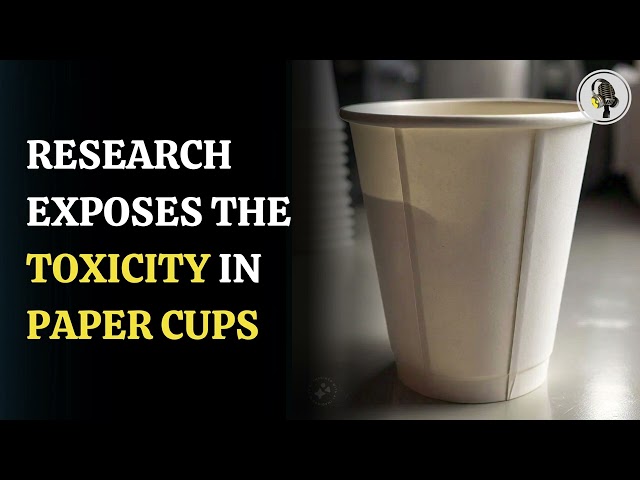 ⁣Paper cups reveal hidden toxicity harming the environment | WION Podcast