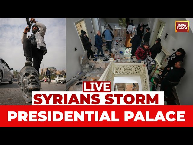 ⁣Syrians  News Live Updates: Syrians storm presidential palace, loot ssad's personal belongings