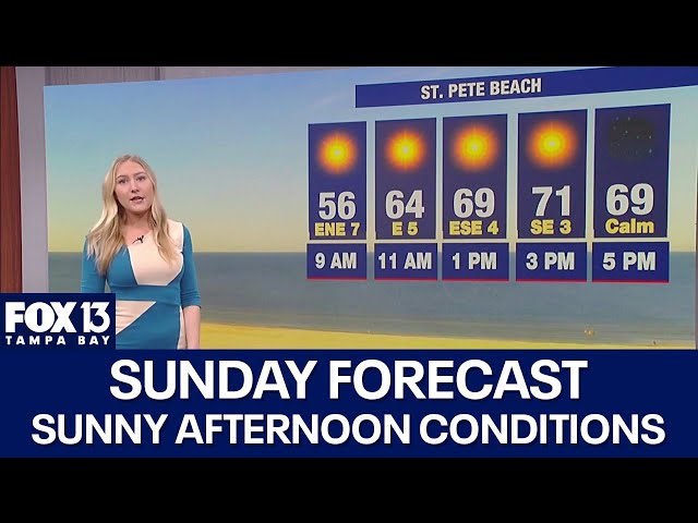 ⁣Tampa weather | Sunny in the afternoon Sunday