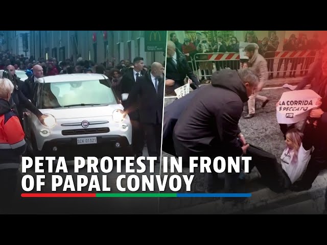 ⁣PETA stages protest, stops papal convoy | ABS-CBN News