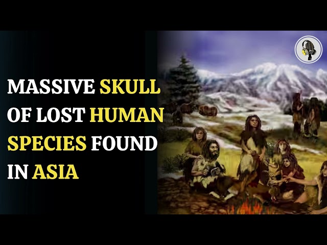 ⁣Lost Human Species with Abnormally Large Skull Discovered | WION Podcast