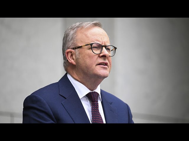 ⁣Latest Newspoll ‘alarming’ for Anthony Albanese