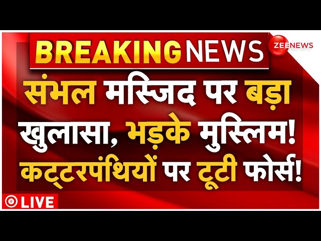 ⁣Big Action In Sambhal Violence LIVE: संभल मस्जिद पर बड़ा खुलासा, भड़के मुस्लिम! टूटी फोर्स! | Yogi