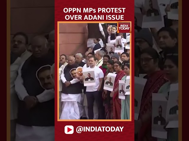 ⁣Opposition MPs, Including Rahul Gandhi, Hold A Protest Over Adani Matter