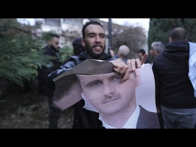 ⁣'I'm just happy': Syrian diaspora across Europe reacts to Bashar al-Assad's down