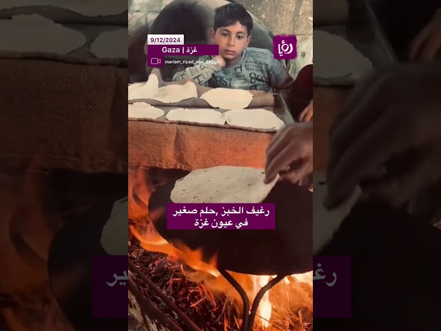 ⁣رغيف الخبز... حلم صغير في عيون غزة