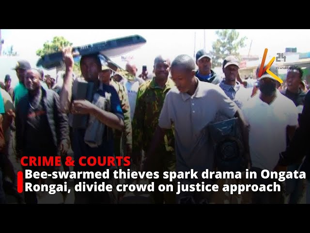 ⁣Bee-swarmed thieves spark drama in Ongata Rongai, divide crowd on justice approach