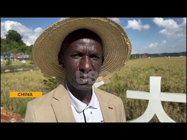 ⁣NARO COURTS CHINA ON RICE PRODUCTION IN SIGNIFICANT FOOD REVOLUTION