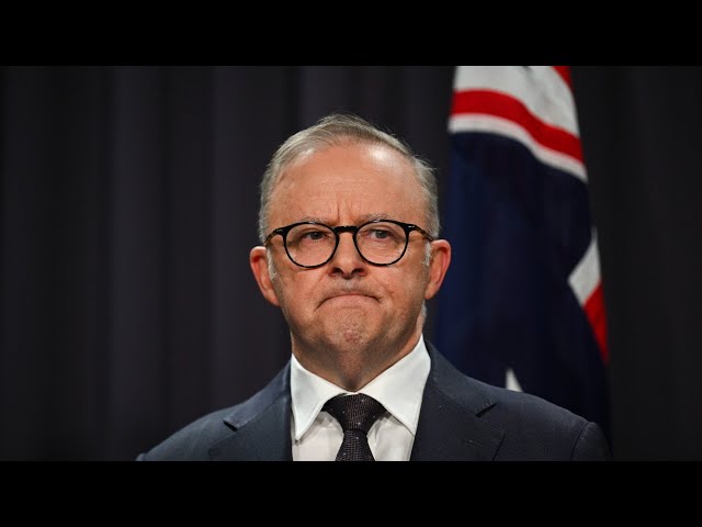 ⁣Paul Murray examines ‘massive walk away’ from Labor in new polling