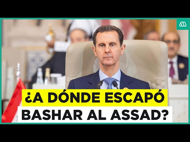 ⁣Rebeldes sirios toman el poder: ¿A dónde escapó Bashar al Assad?