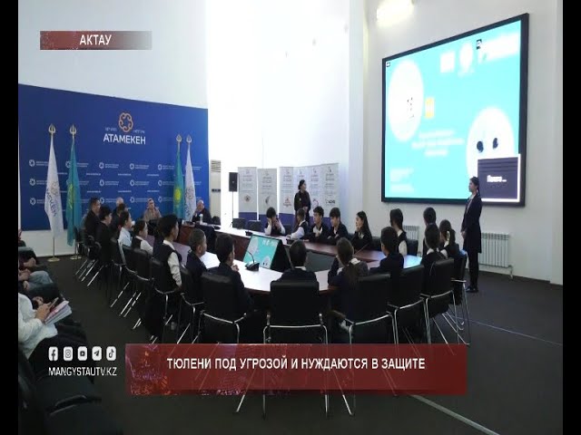 ⁣Тюлени под угрозой и нуждаются в защите