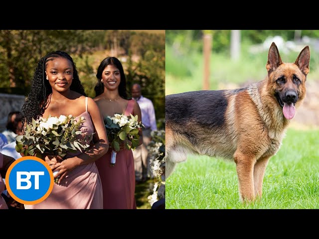 ⁣This woman might not go to her sister’s wedding because of a dog name