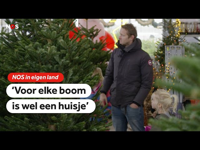 ⁣Topdrukte voor kerstboomverkopers