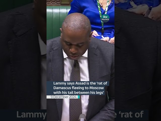 ⁣Lammy says Assad is the ‘rat of Damascus fleeing to Moscow with his tail between his legs’| ITV News