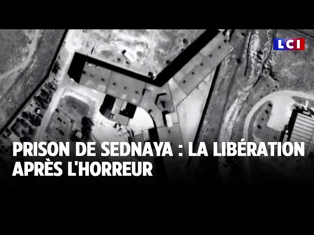 ⁣Prison de Sednaya : la libération après l'horreur ｜LCI