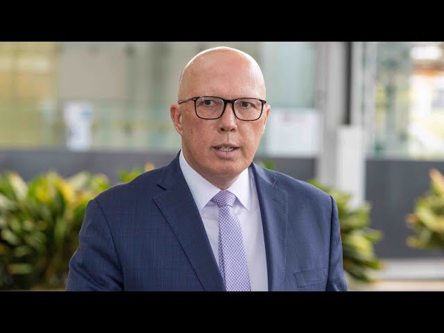 ⁣Liberal MP discusses impacts of Paul Fletcher’s retirement on Peter Dutton’s campaign