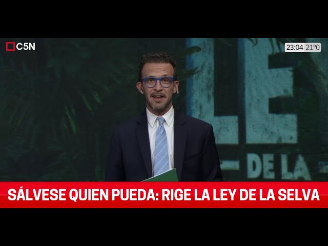 ⁣El EDITORIAL de ALEJANDRO BERCOVICH en LA LEY DE LA SELVA