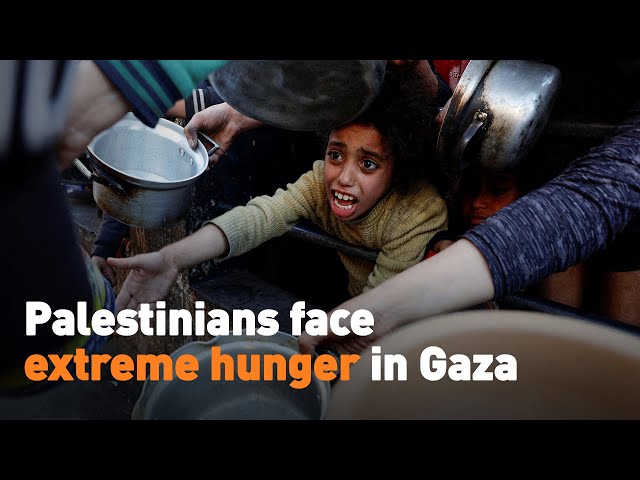 ⁣Palestinians face extreme hunger in Gaza