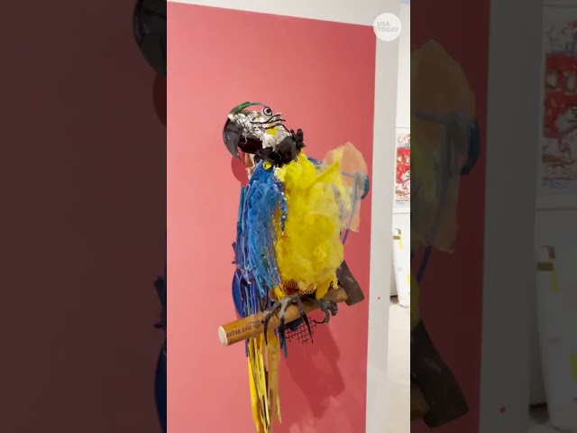 ⁣Illusion artist creates bird sculptures out of found material #Shorts