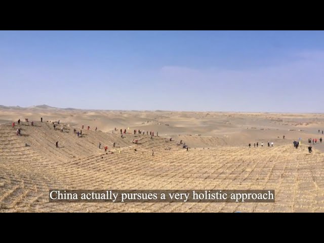 ⁣China's anti-desertification success offers "beacon of hope" for others, says experts