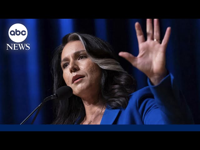 ⁣Tulsi Gabbard’s views on Syria challenged