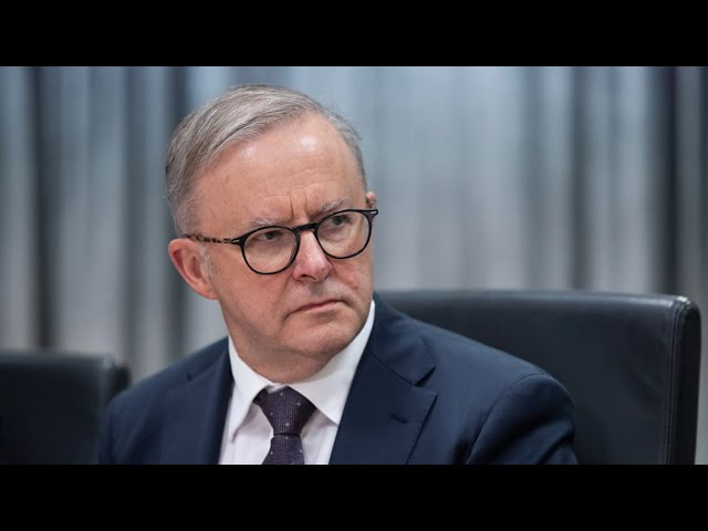 ⁣Anthony Albanese believes he ‘hasn’t put a foot wrong’