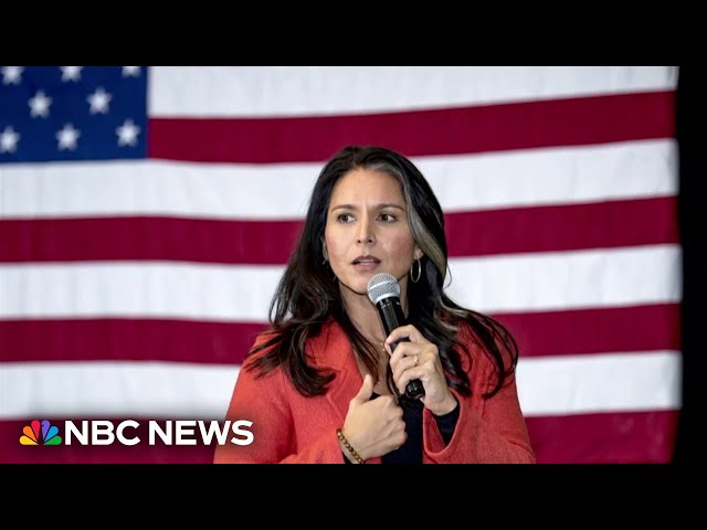 ⁣National security officials sign letter decrying Gabbard nomination over past Syria views