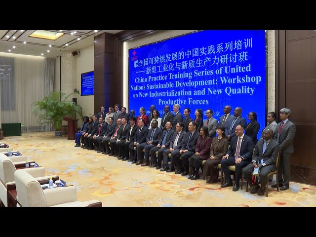 ⁣UN diplomats join workshop on China's global development initiative