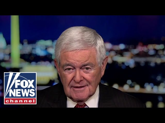 ⁣We have to assume Biden has some ‘nutcase staffers’ doing dangerous things, says Newt Gingrich