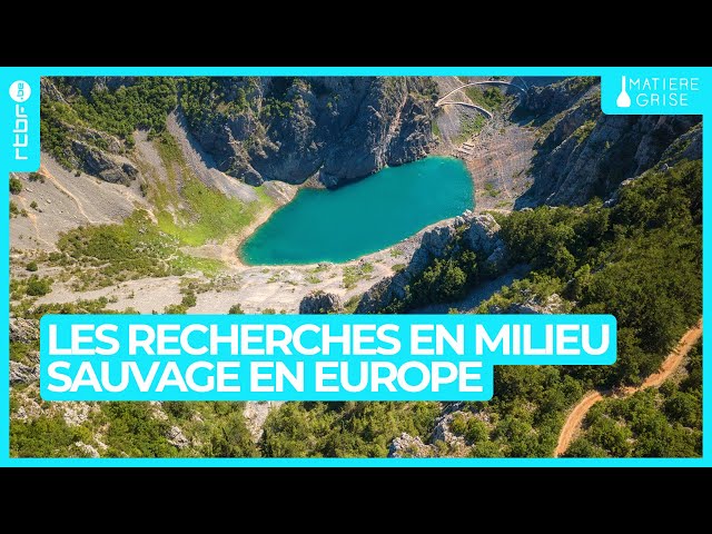 ⁣Recherches sauvages : comment étudier 1% de l'Europe encore à l'état sauvage - Matière Gri