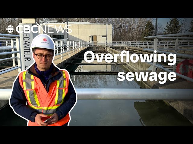 ⁣Partially treated wastewater is dumped into Quebec's waterways hundreds of times a year