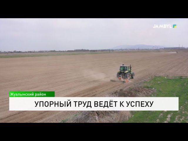 ⁣Упорный труд ведёт к успеху