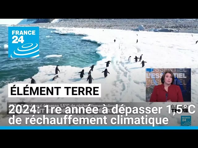 ⁣L'année 2024 sera la première à dépasser  1,5°C de réchauffement planétaire • FRANCE 24