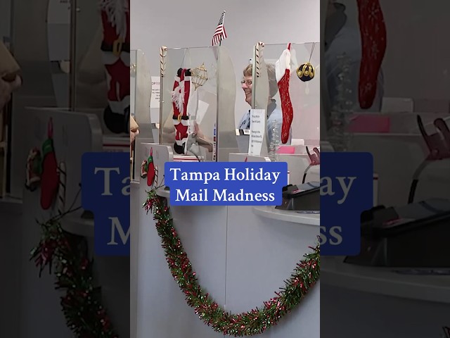 ⁣Tampa Holiday Mail Madness #fox13news #tampa #holiday