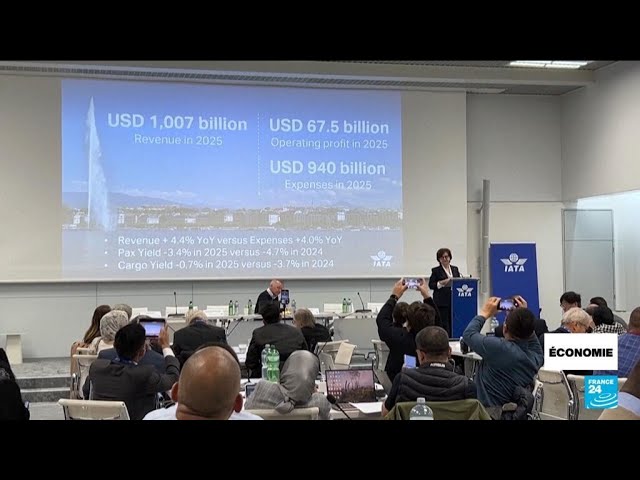 ⁣Trafic aérien : un record de 5,2 milliards de passagers attendus en 2025 • FRANCE 24