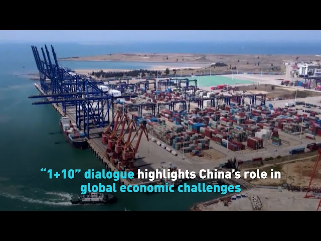 ⁣“1+10” dialogue highlights China’s role in global economic challenges