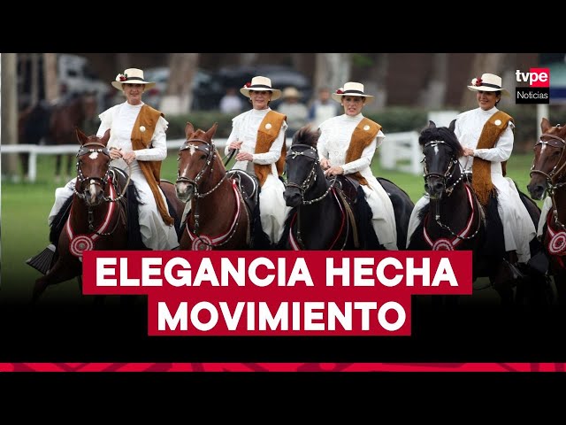 ⁣"El Caballo de Paso Peruano, el embajador silencioso de Perú” | Mercado Peruano, 10 de diciembr