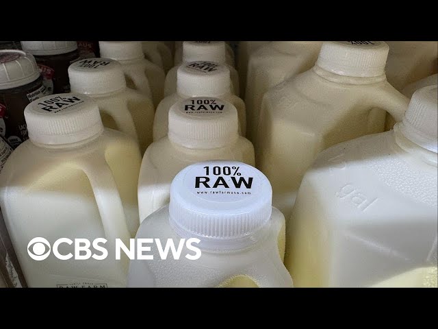 ⁣Raw and unpasteurized milk must test for bird flu, USDA mandates