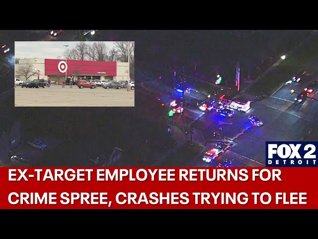 ⁣Ex-Target employee crashes with allegedly stolen items inside vehicle