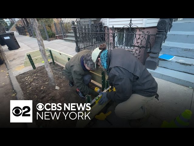 ⁣North Brooklyn residents working to protect vulnerable trees