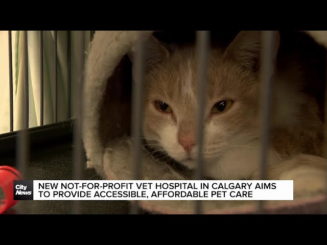 ⁣New not-for-profit vet hospital in Calgary aims to address accessible, affordable pet care